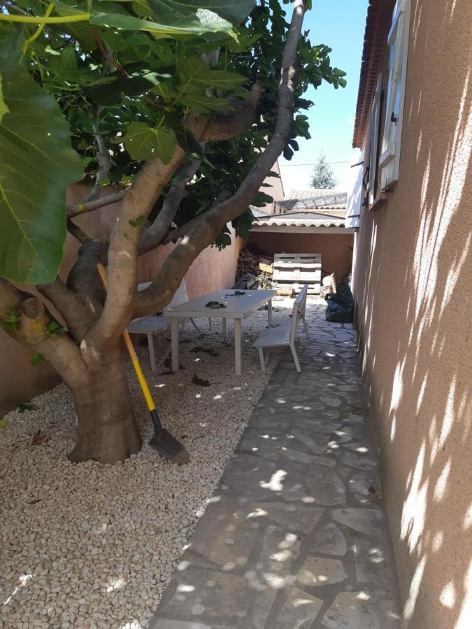 Ferienwohnung Le Clos D'Amandine Sallèles-dʼAude Exterior foto
