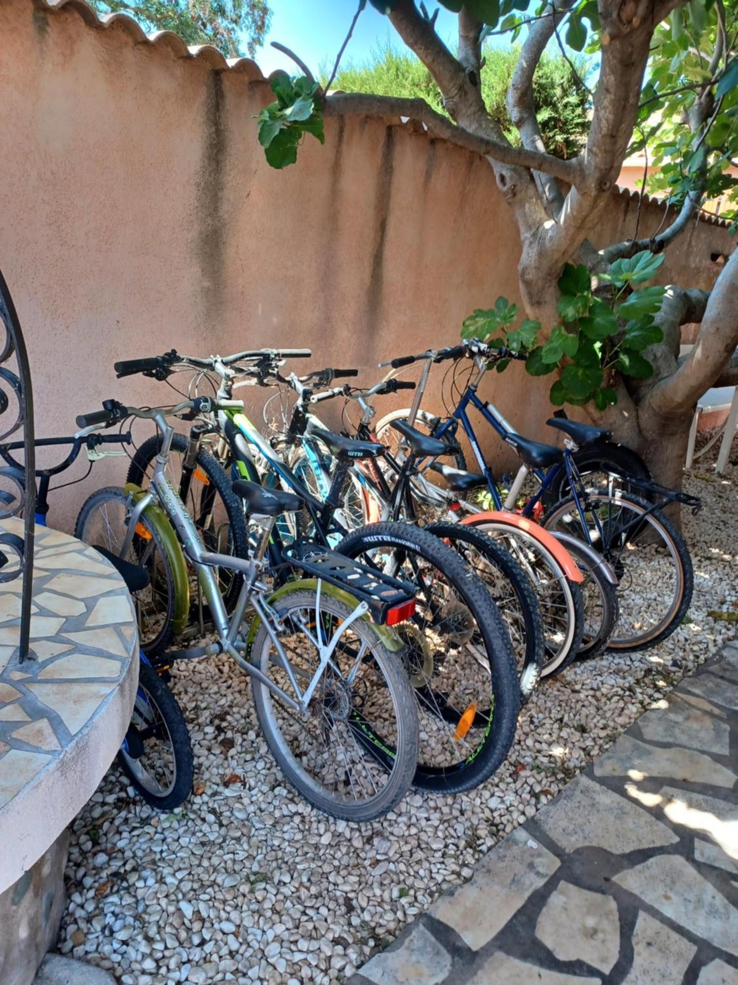 Ferienwohnung Le Clos D'Amandine Sallèles-dʼAude Exterior foto